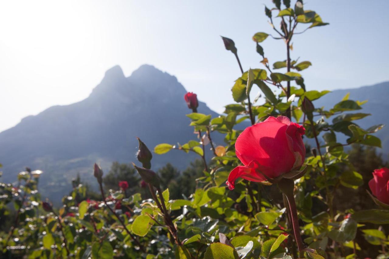 Hostal Rural Cal Xic Saldés Dış mekan fotoğraf